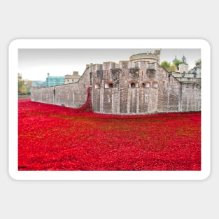 Tower of London Red Poppies Sticker